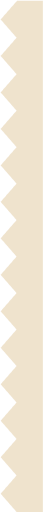 Light image border with 14 tips